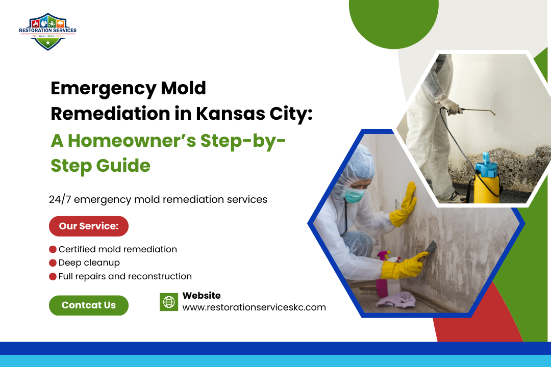 Emergency Mold Remediation in Kansas City: A Homeowner’s Step-by-Step Guide