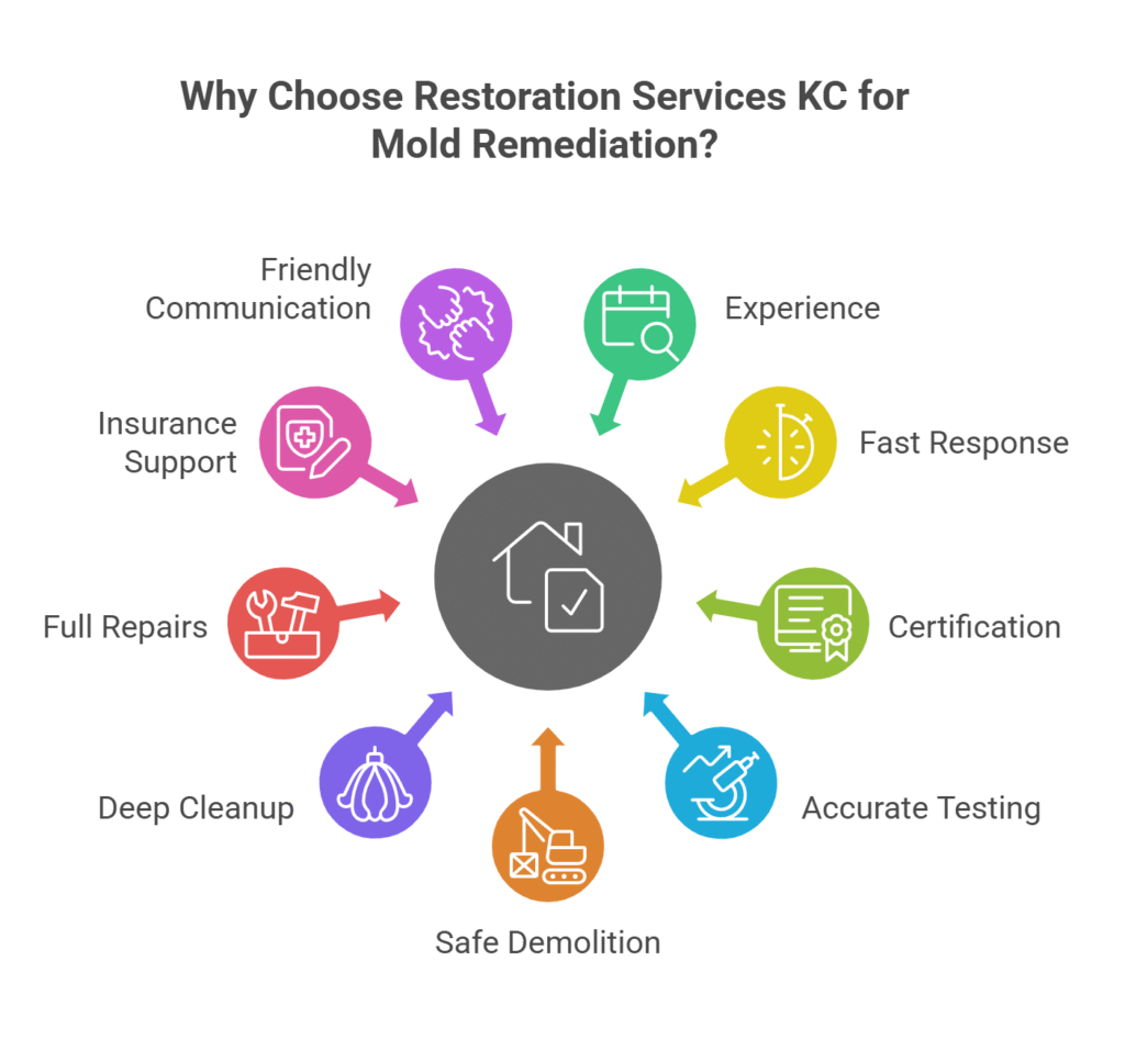 Why Choose Restoration Services KC for Mold Remediation?