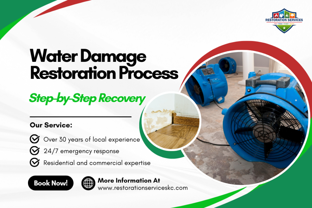 Water Damage Restoration Process – Step-by-Step Recovery