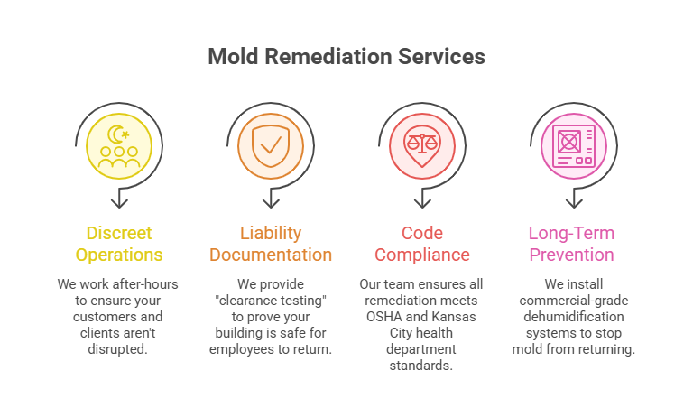 Mold Remediation Near You: How to Find a Trusted Local Mold Removal Expert