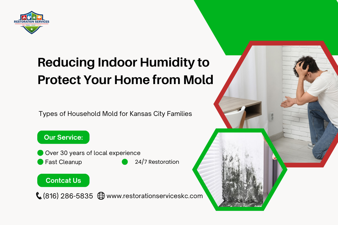 Reducing Indoor Humidity to Protect Your Home from Mold