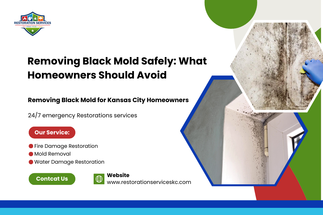 Removing Black Mold Safely: What Homeowners Should Avoid