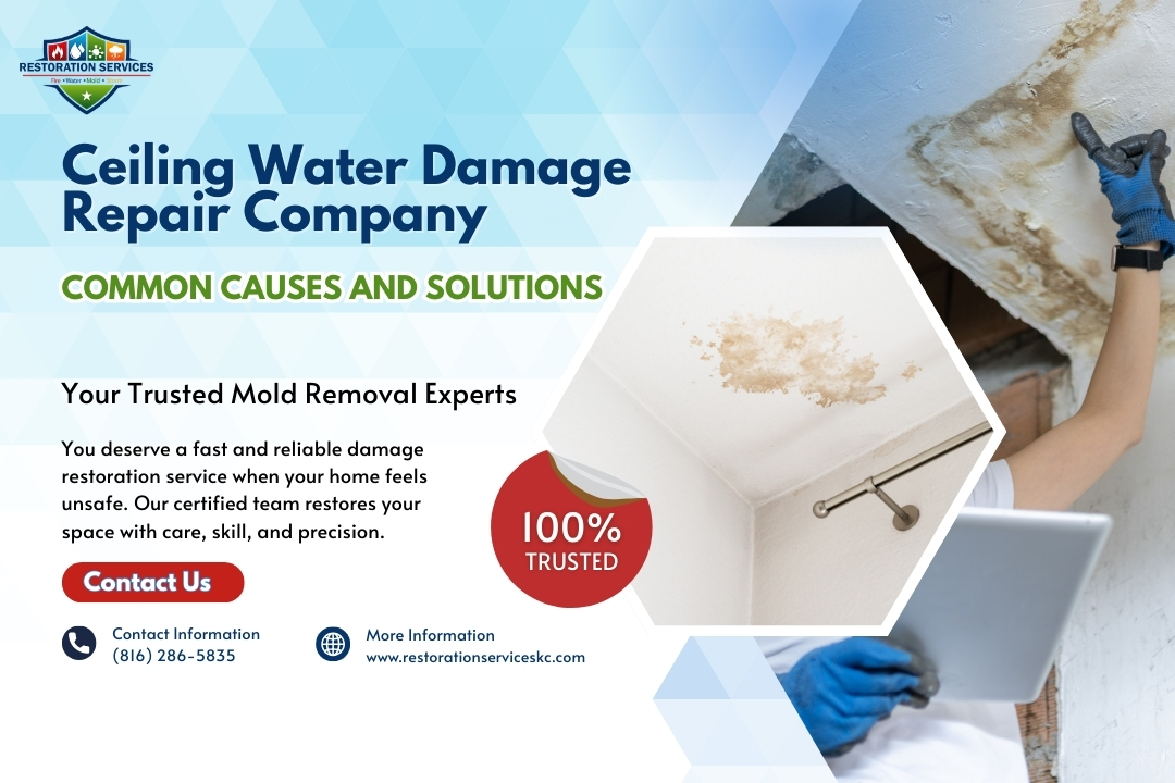 Ceiling Water Damage Repair Company: Common Causes and Solutions