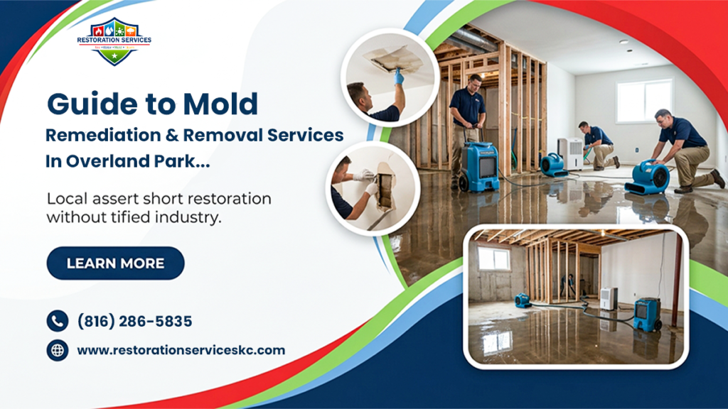 Mold Remediation & Removal Services in Overland Park
