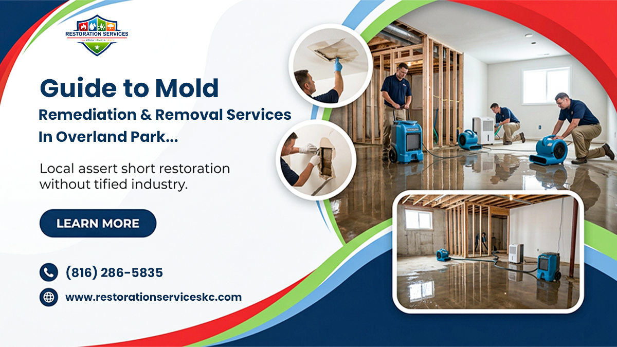 Mold Remediation & Removal Services in Overland Park