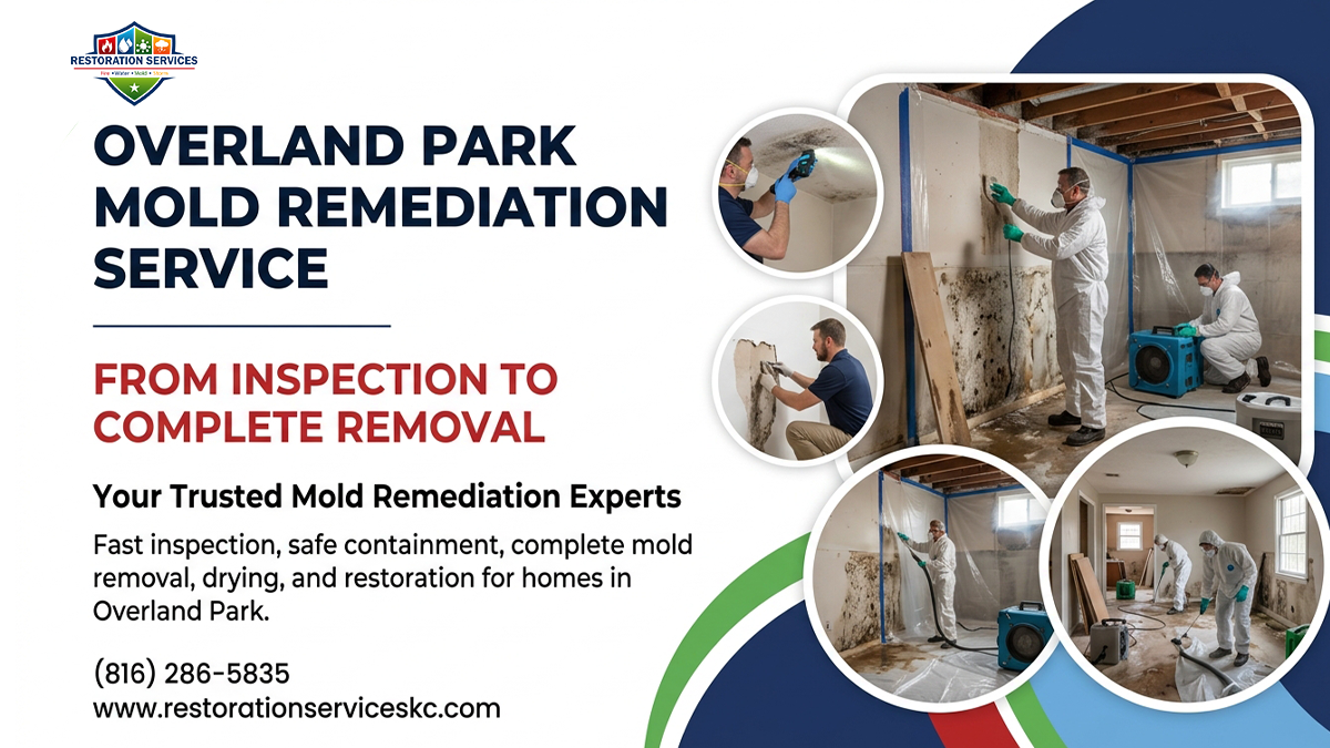 Overland Park Mold Remediation Service