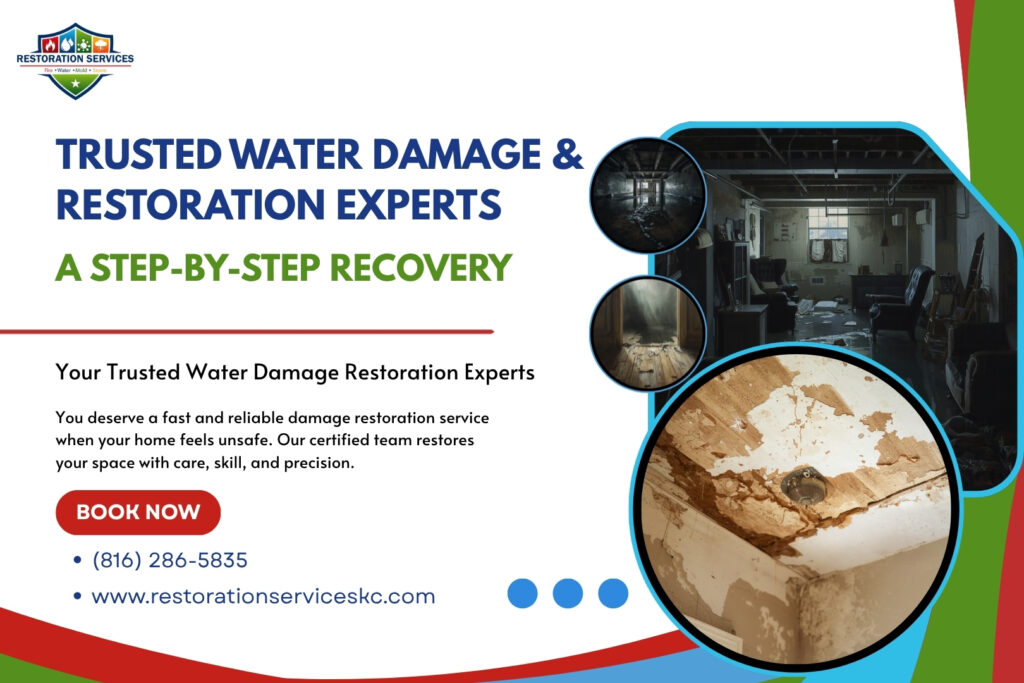 Trusted Water Damage & Restoration Experts: A Step-by-Step Recovery