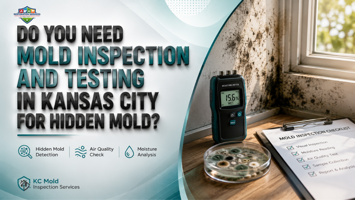 Do You Need Mold Inspection and Testing in Kansas City for Hidden Mold?