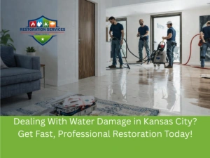 Restoration Services In Shawnee,Mold Removal Service in Lee’s Summit, MO